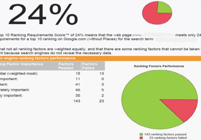 I will create a extremely detailed 50+ Page Seo Report for your website using IBP