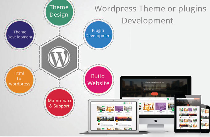 I will develop wordpress theme or plugins