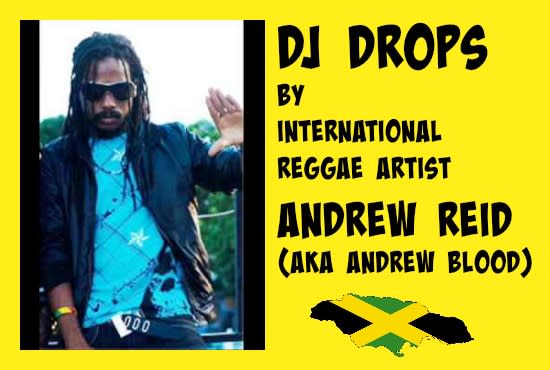 I will do a DJ Drop for you Reggae or hip hop style