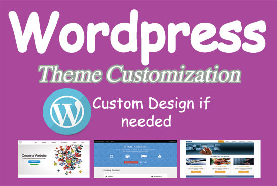 I will do any wordpress theme and plugins customization