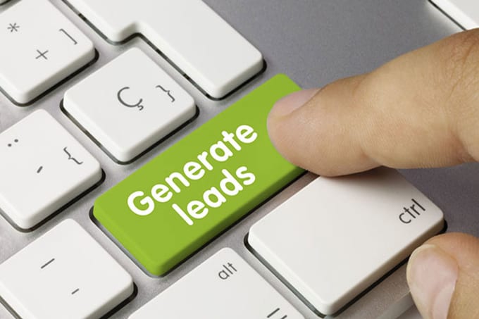 I will do web scraping and business leads