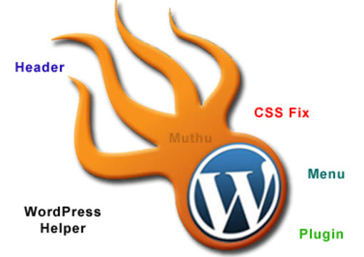 I will fix wordpress issues