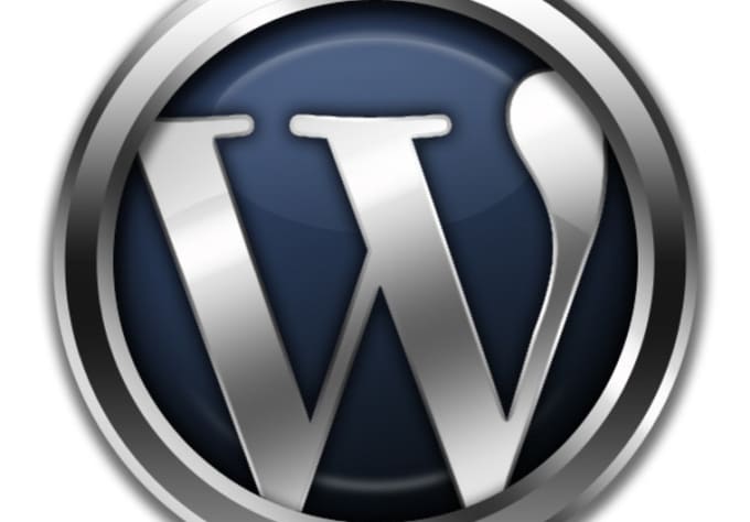 I will help you to create professional wordpress website