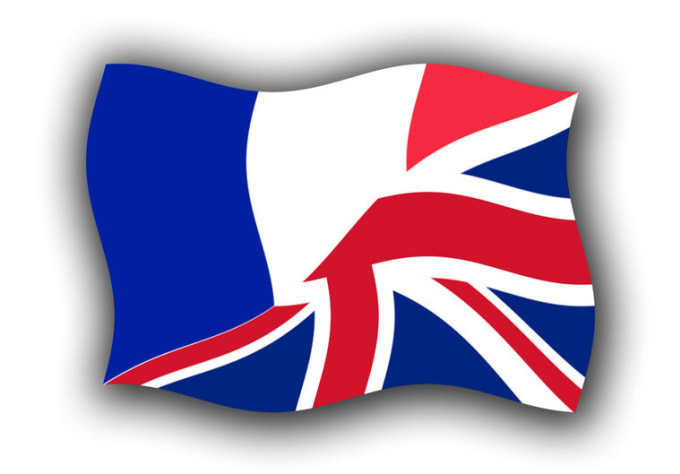 I will manually translate up to 600 words in French or English
