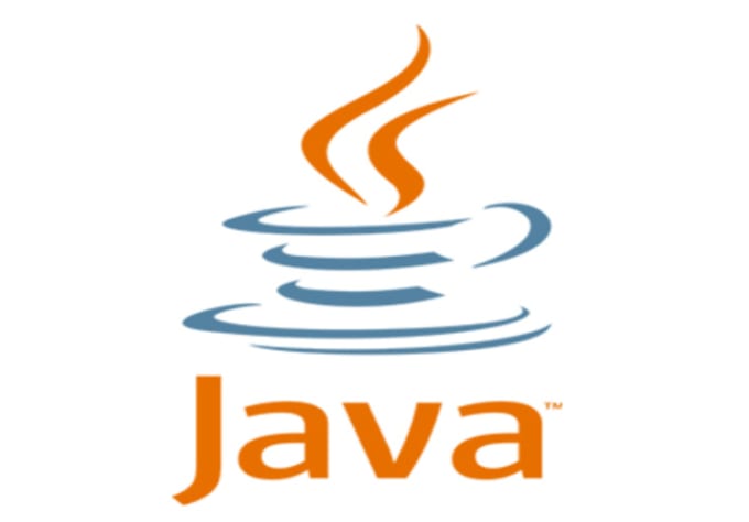 I will professional java programmer