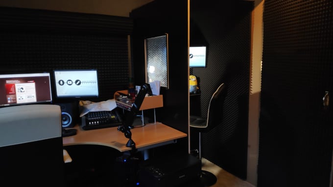 I will record a professional german voice over