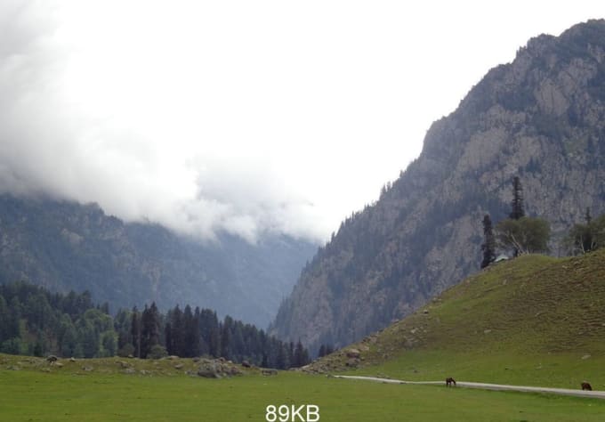 I will reduce size of your 10 photos from mb to few kb