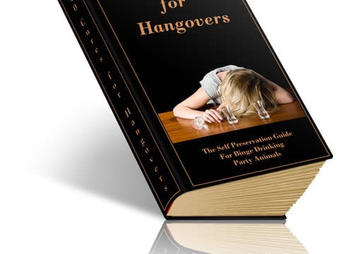 I will send you more than 40 Cures For Hangovers