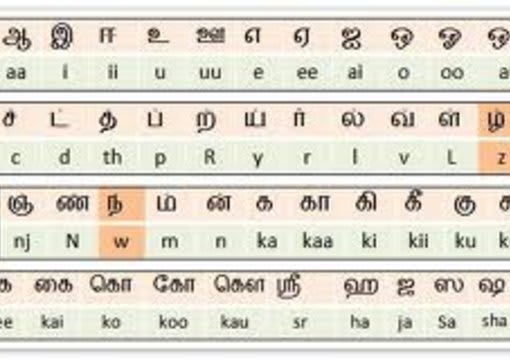 I will translate Tamil to English document
