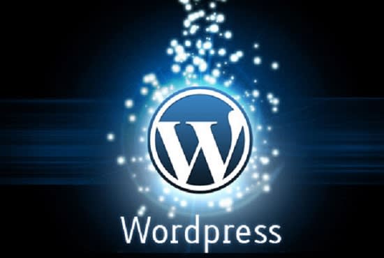 I will build a professional wordpress website for you
