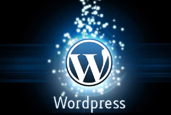 I will build a professional wordpress website for you