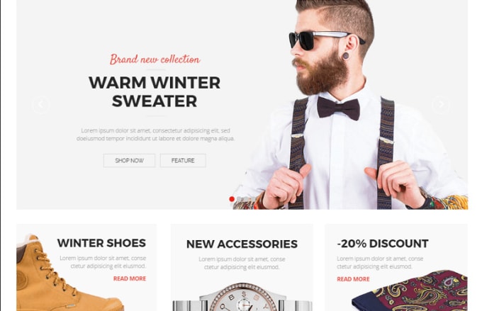 I will build a wordpress ecommerce website