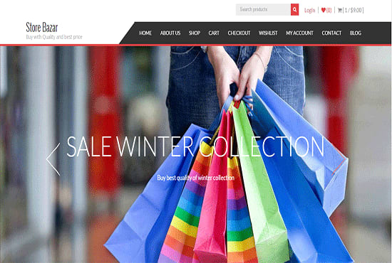 I will build wordpress ecommerce website