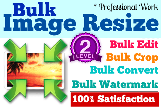 I will bulk resize, crop convert images professionally
