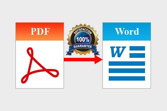 I will convert PDF to word or scanned pages to word or google docs