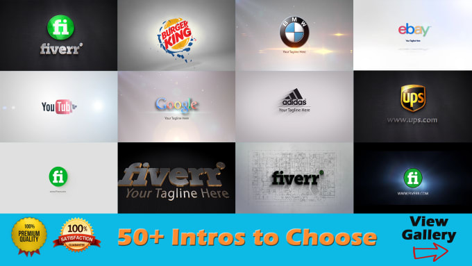 I will create a high quality logo animation
