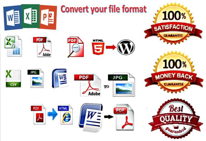 I will create editable pdf file and convert file format