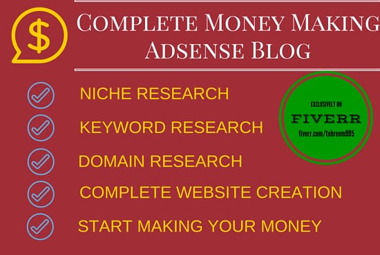I will create SEO optimized adsense micro niche site