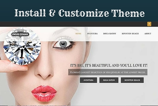 I will customize any WordPress theme same as its demo