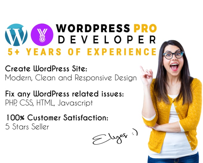 I will customize, fix or build your wordpress website