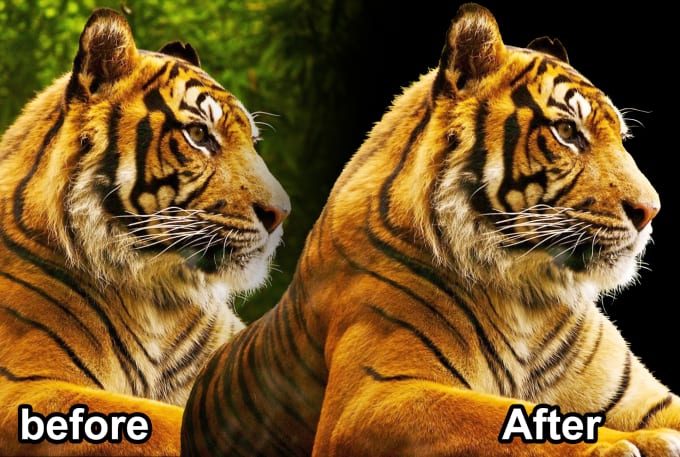 I will cut Out your Image professionally