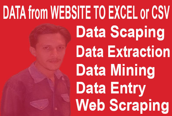 I will data scraping, mining, extraction, scraping web to excel