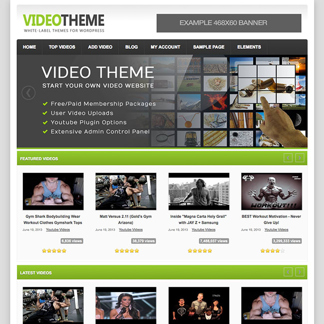 I will desgin Professional wordpress website and customiz Any theme