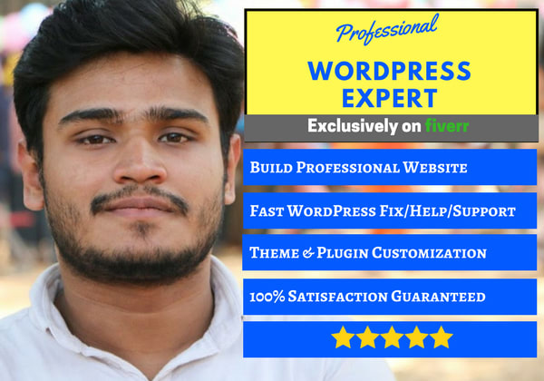 I will design and customize wordpress website or wordpress blog