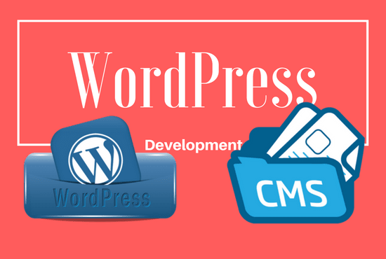 I will develop a professional wordpress website