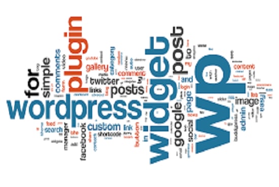 I will develop WordPress website and themes