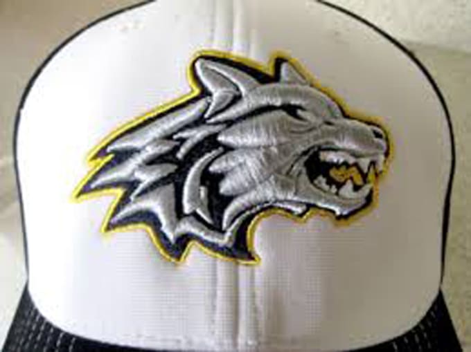 I will do 3D puff embroidery digitizing into pes dst