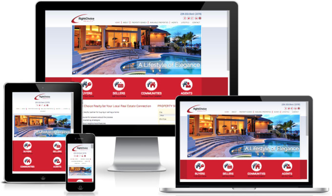 I will do a web project for you