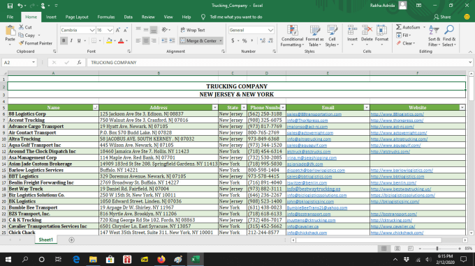 I will do any data entry, web research, data collection, copy paste job