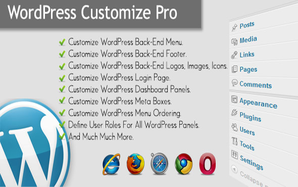 I will do any WordPress work, fix, problem and customization