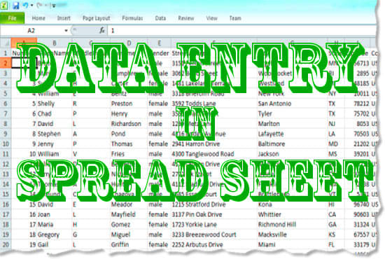 I will do anything you need  in spread sheet