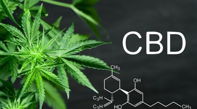 I will do cbd marketing, cannabis promotion, hemp oil with real cbd website traffic