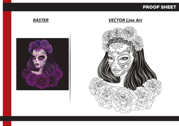 I will do line art vector illustration in 1 to 12hrs