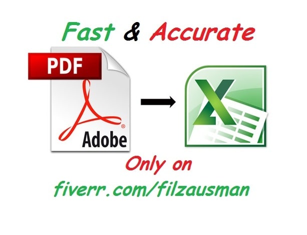 I will do PDF to excel conversion