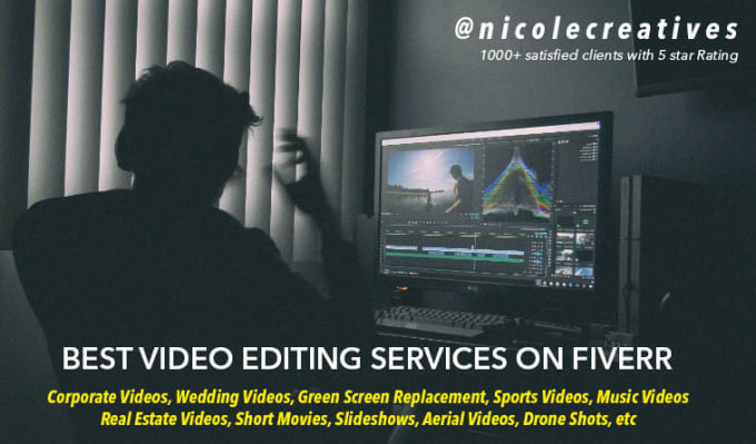 I will do professional video editing and post production