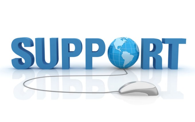 I will do provide IT support in hosting and website