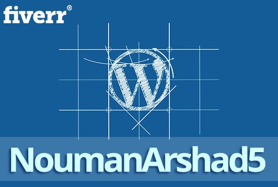 I will do wordpress customization quickly
