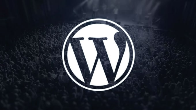 I will do wordpress plugin, theme customization and fix site issues