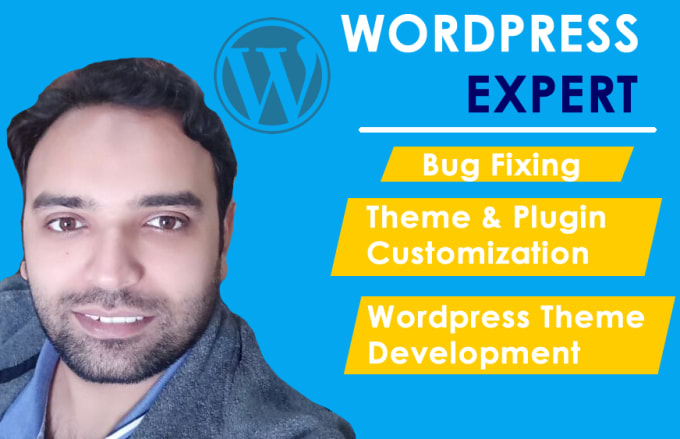 I will do wordpress plugin, theme, fix issues or custom development