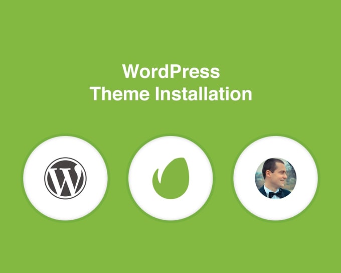 I will do wordpress theme and plugins customization