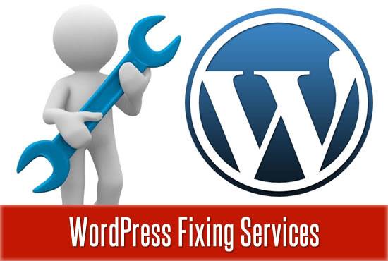 I will fix any wordpress errors at lowest price