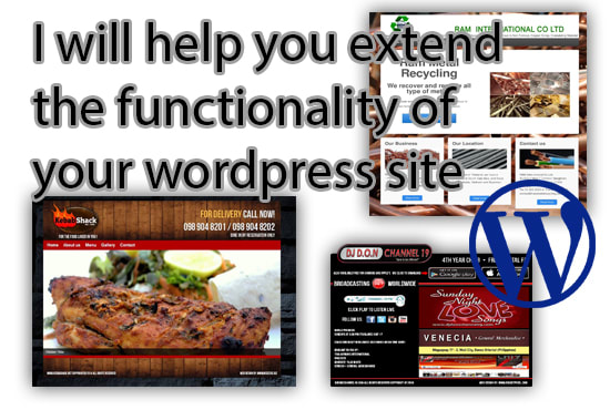 I will fix error and extend your wordpress functionality