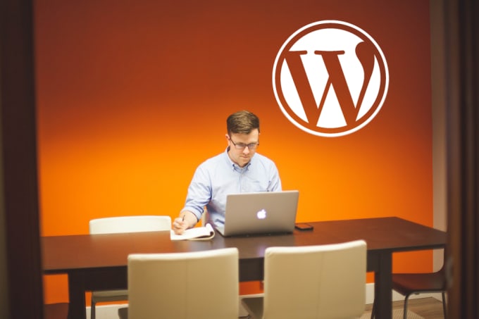 I will fix wordpress website issues