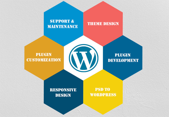 I will fix your wordpress issue with in a day
