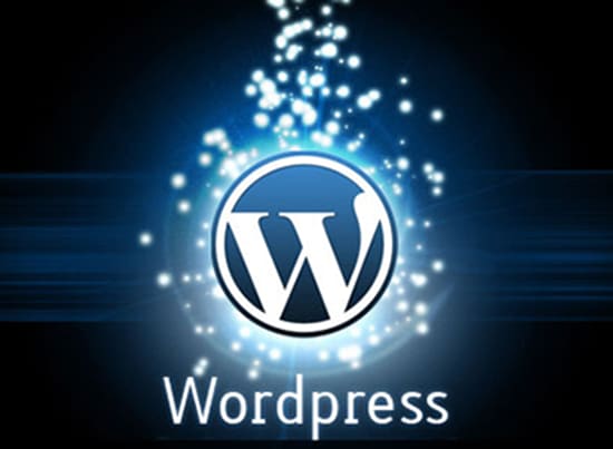 I will install,edits, configure wordpress or make any small change