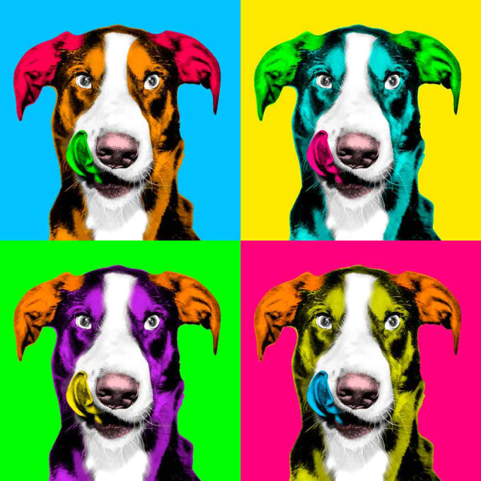 I will make pop art andy warhol of your pet within 24 hr